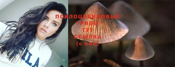 прущие крисы Медногорск
