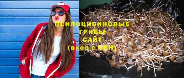 герыч Медвежьегорск