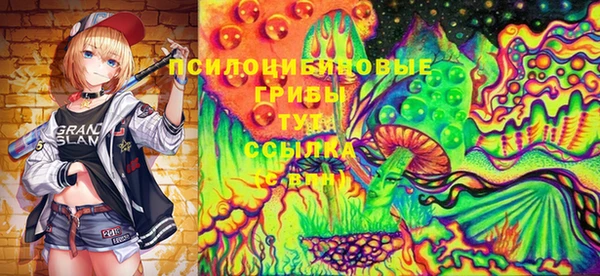 прущие крисы Медногорск