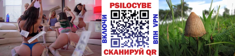 MEGA вход  Городище  Галлюциногенные грибы мухоморы 